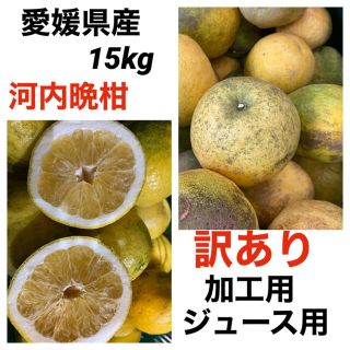 愛媛県産　河内晩柑加工用15kg(フルーツ)