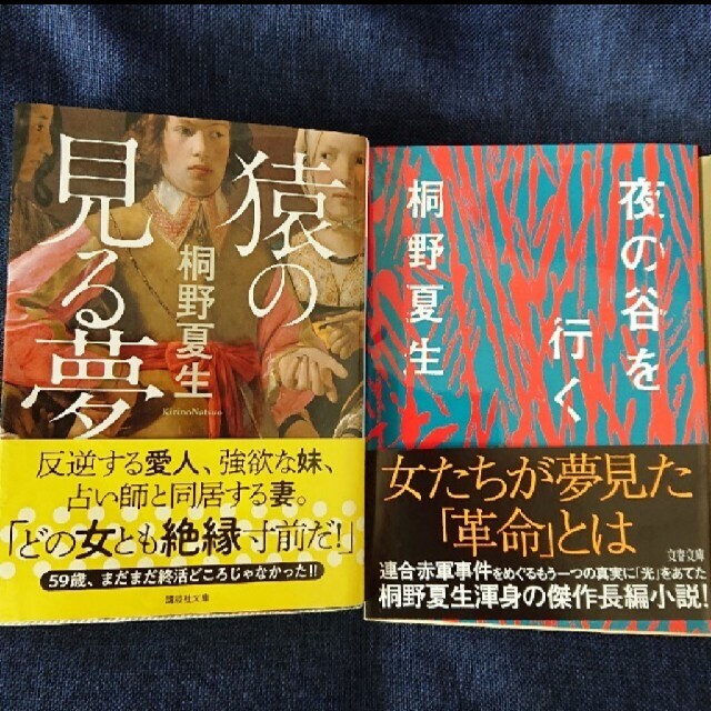 桐野夏生「猿の見る夢」「夜の谷を行く」二冊セット エンタメ/ホビーの本(文学/小説)の商品写真