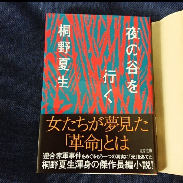 桐野夏生「猿の見る夢」「夜の谷を行く」二冊セット エンタメ/ホビーの本(文学/小説)の商品写真