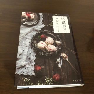 流浪の月(文学/小説)