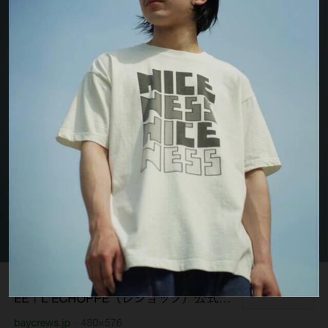 Tシャツ/カットソー(半袖/袖なし)NICENESSTシャツ