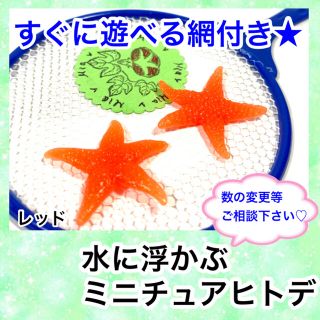 水に浮かぶ　ヒトデ　レッド(お風呂のおもちゃ)