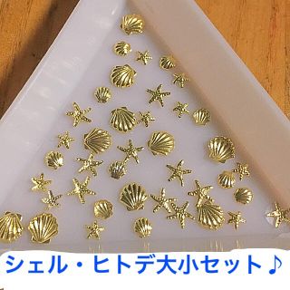 夏ネイル⭐︎シェル・ヒトデ大小60個♪(デコパーツ)