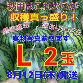 ⑥訳あり 糖度12度以上 秋田 農家直送スイカ 西瓜 キズ むら Lサイズ2玉(野菜)