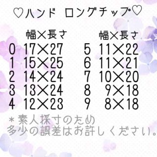 新作♡レースネイル♡すりガラス♡ブライダル♡結婚式♡二次会♡ビジュー♡冬ネイル コスメ/美容のネイル(つけ爪/ネイルチップ)の商品写真