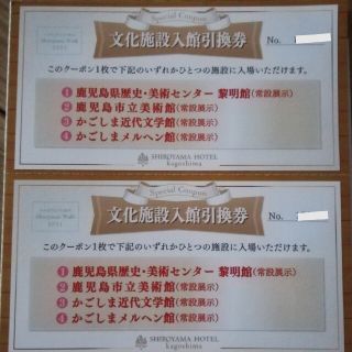 鹿児島県　クーポン　チケット　入館券　美術　黎明館　施設利用券　観光　旅行(美術館/博物館)