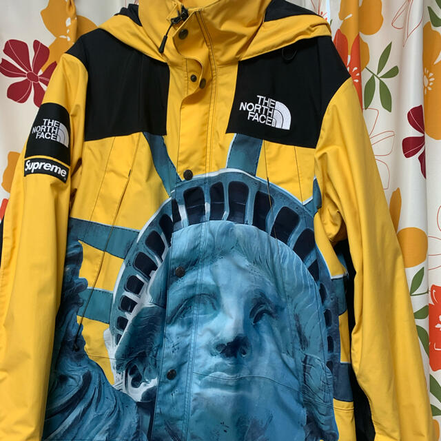 supreme  the north face