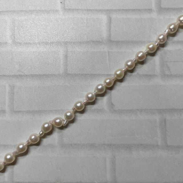 サニーパームさん 0810 品数豊富! 6200円 www.gold-and-wood.com