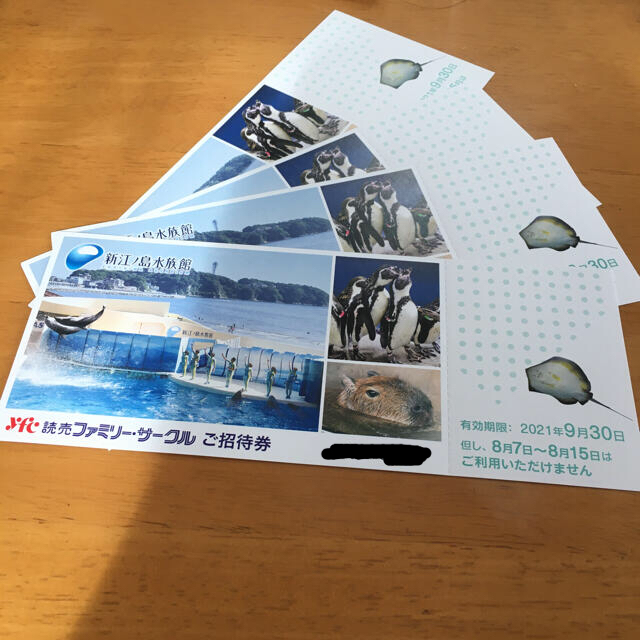 新江ノ島水族館チケット、4枚
