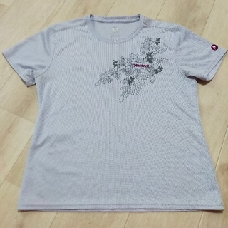 マーモット(MARMOT)のMarmot　レディースTシャツ　Mサイズ(Tシャツ(半袖/袖なし))