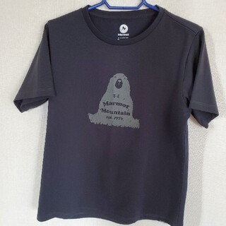 マーモット(MARMOT)のMarmot　Tシャツレデース(Tシャツ(半袖/袖なし))