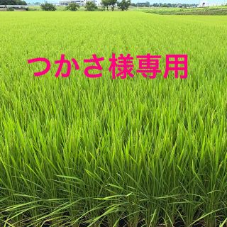 つかさ様専用　令和2年度産　富山コシヒカリ　精米10kg(米/穀物)