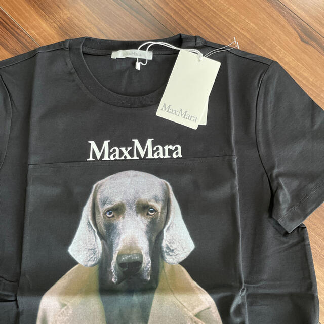 Max Mara(マックスマーラ)のMax Mara マックスマーラ　Tシャツ レディースのトップス(Tシャツ(半袖/袖なし))の商品写真