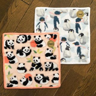 フェイラー(FEILER)のフェイラー☆完売❣️コロコロパンダ＆限定❣️ペンギンアイランド(ハンカチ)