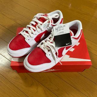 ナイキ(NIKE)の【最終値下げ】NIKE DUNK LOW RETRO  27cm(スニーカー)