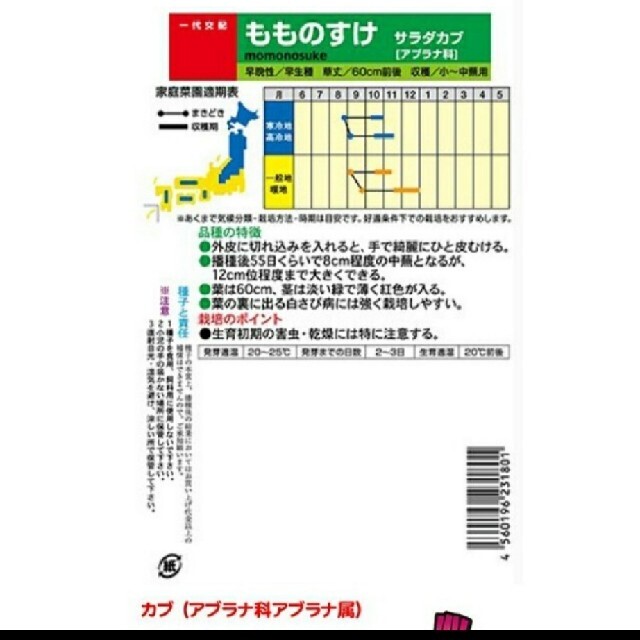 もものすけの種　25粒 食品/飲料/酒の食品(野菜)の商品写真