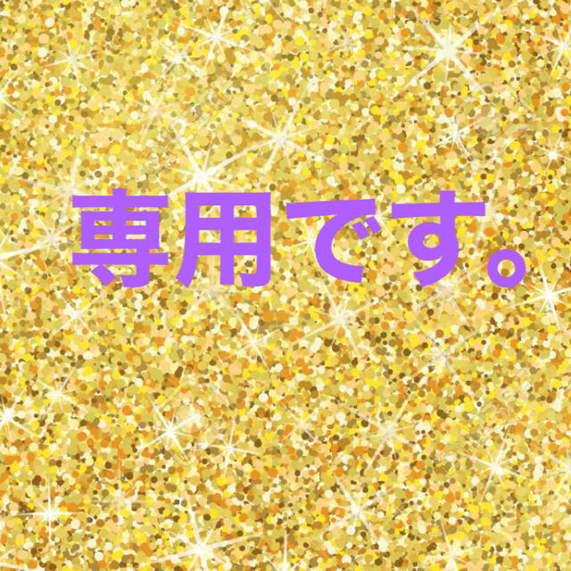 レモン様専用です。 国内外の人気集結! 70.0%OFF