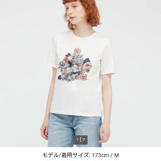 ユニクロ(UNIQLO)のポール & ジョー UT グラフィックTシャツ（半袖・レギュラーフィット）(Tシャツ(半袖/袖なし))