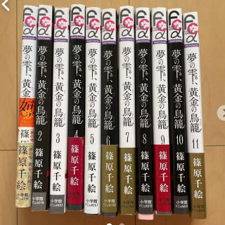 夢の雫、黄金(きん)の鳥籠 1〜11巻　セット売り(少女漫画)