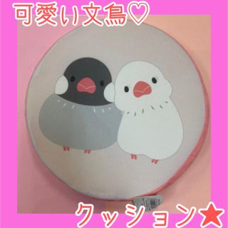 セール★かわいい文鳥　ラウンドシートクッション(クッション)