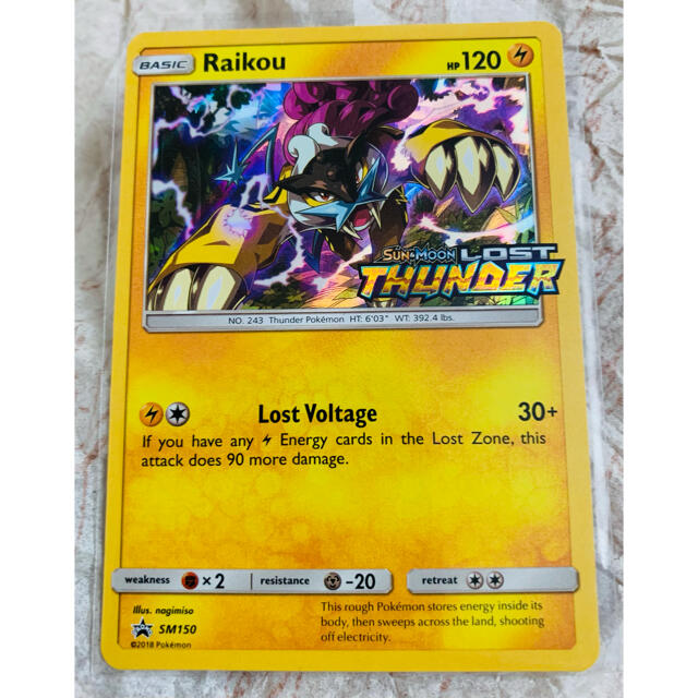 手数料安い 非売品珍ポケモンカードライコウ プロモ英語珍ポケカ海外サン ムーンロストサンダー 限定セール Kishdohagate Qa 手数料安い 非売品珍ポケモンカードライコウ プロモ英語珍ポケカ海外サン ムーンロストサンダー 限定セール Kishdohagate Qa