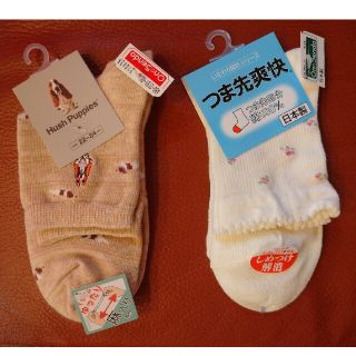 ハッシュパピー(Hush Puppies)のレディースソックス2点セット(ソックス)