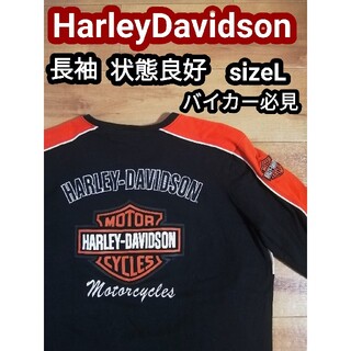 ハーレーダビッドソン(Harley Davidson)のハーレーダビッドソン HarleyDavidson ロングTシャツ 刺繍 ロンT(Tシャツ(長袖/七分))