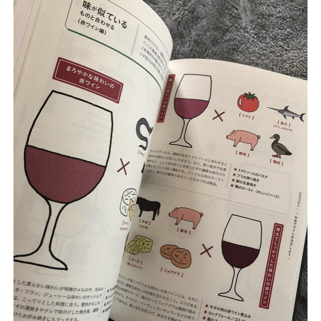 ワインの教科書 食品/飲料/酒の酒(ワイン)の商品写真