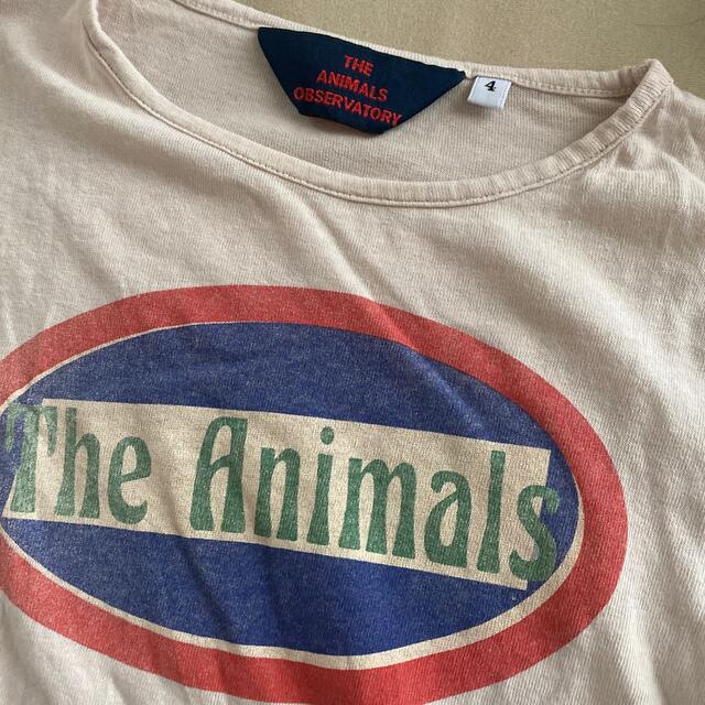 bobo chose(ボボチョース)のthe animals observatory 4y キッズ/ベビー/マタニティのキッズ服男の子用(90cm~)(Tシャツ/カットソー)の商品写真