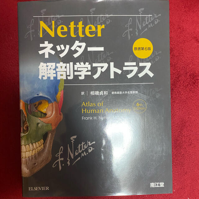 ネッタ－解剖学アトラス 原書第６版 エンタメ/ホビーの本(健康/医学)の商品写真