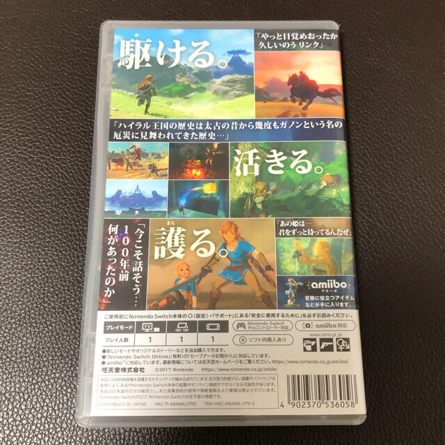 ゼルダの伝説 ブレス オブ ザ ワイルド Switch