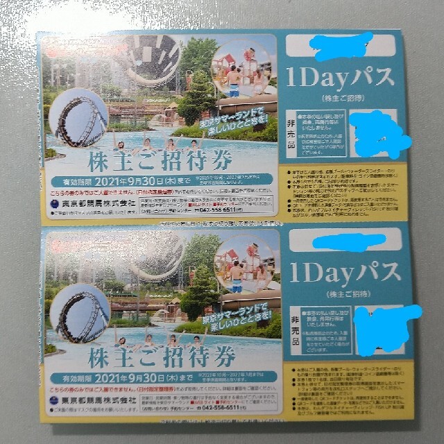 翌日発送 東京都競馬 株主優待 東京サマーランド １Dayパス ２枚★