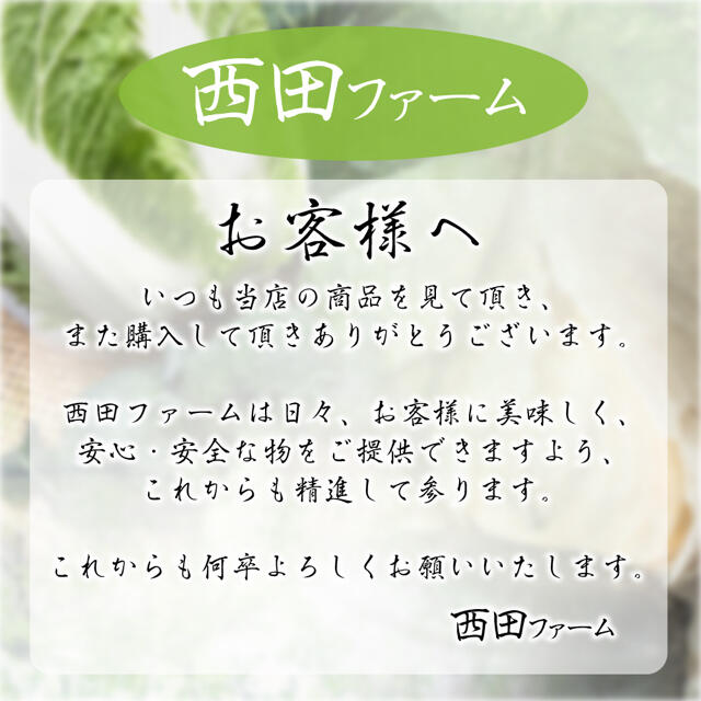 熊本県八代産 新鮮オクラ(ブルースカイ) 35本 食品/飲料/酒の食品(野菜)の商品写真