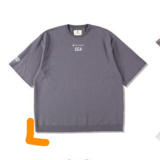 スノーピーク(Snow Peak)のwind and sea snow peak  半袖 Tシャツ(Tシャツ/カットソー(半袖/袖なし))