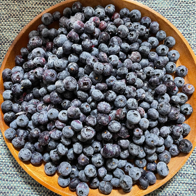 北海道産 冷凍ブルーベリー 無農薬 1.8kg 送料込 フルーツ ふるさと 果物