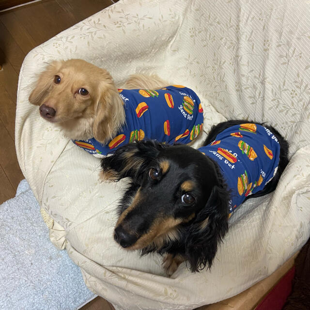 「ホットドッグとハンバーガー』　メルロコ　ダックス　犬服 ハンドメイドのペット(ペット服/アクセサリー)の商品写真