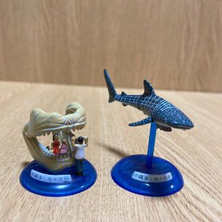 美ら海水族館　ガチャ　カプセルフィギュアコレクション　ジンベエザメとコバンザメ(その他)