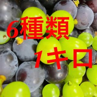 山梨県産朝採れぶどう食べ比べセット(フルーツ)