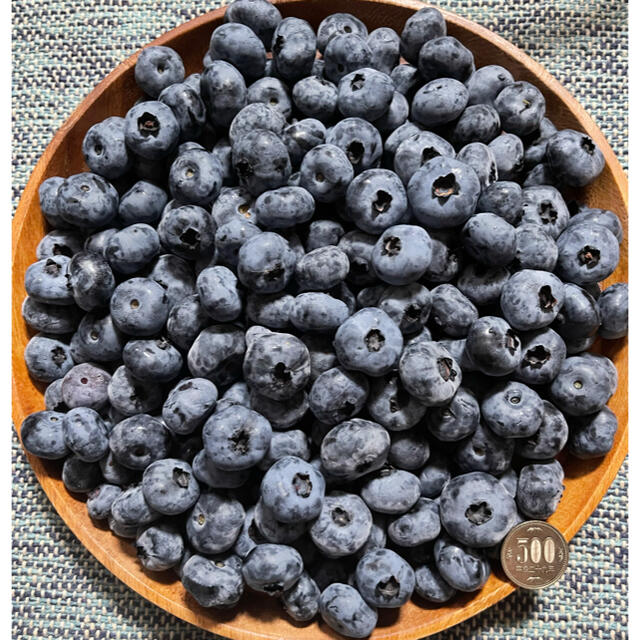 限定‼️北海道産 ブルーベリー 無農薬 1kg 送料込 フルーツ ふるさと 果物
