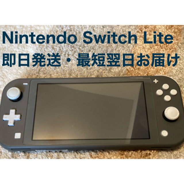 送料0円】 Nintendo Switch NINTENDO SWITCH LITE グレー ...