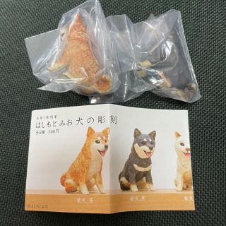 はしもとみお 犬の彫刻 柴犬・茶、柴犬・黒 2体セット(その他)