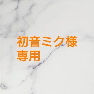 初音ミク様 専用(その他)