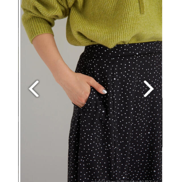 ANAYI(アナイ)の【新品未使用☆タグ付き】cohina フラワードットスカート ブラウン S レディースのスカート(ロングスカート)の商品写真
