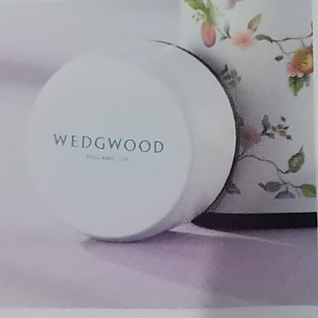 WEDGWOOD(ウェッジウッド)のWEDGWOOD オリジナルステンレスボトル 【限定・非売品】 インテリア/住まい/日用品のキッチン/食器(タンブラー)の商品写真