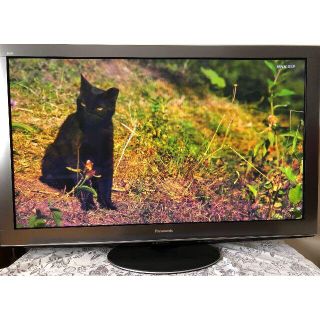 パナソニック(Panasonic)のパナソニック　ビエラ　５０インチ　プラズマテレビ （２０１０年製）(テレビ)