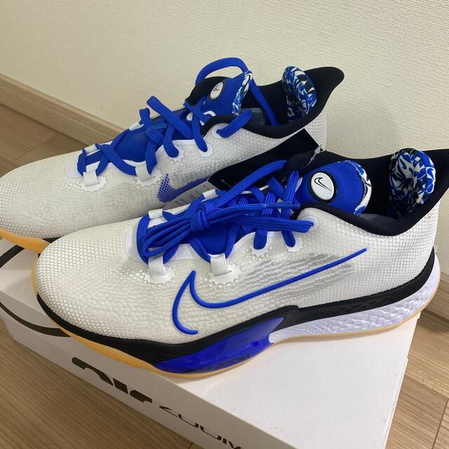 NIKE(ナイキ)のNIKE AIR ZOOM BB NXT メンズの靴/シューズ(スニーカー)の商品写真