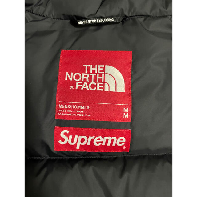 Supreme(シュプリーム)のSupreme The North Face Faux Fur Nuptse メンズのジャケット/アウター(ダウンジャケット)の商品写真