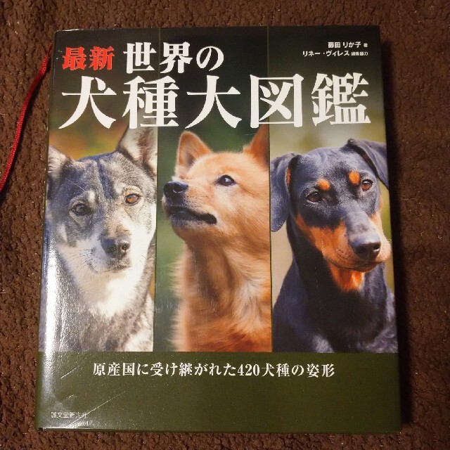 最新世界の犬種大図鑑 原産国に受け継がれた４２０犬種の姿形