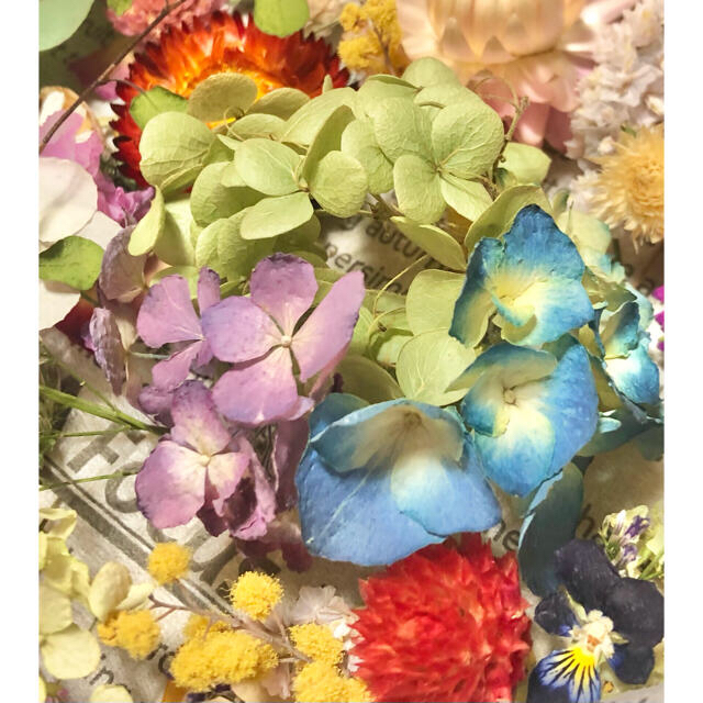 ドライフラワー花材セットNo.239⁑カラフルバラエティー ハンドメイドのフラワー/ガーデン(ドライフラワー)の商品写真
