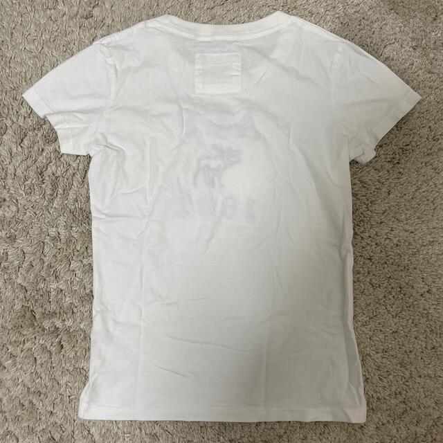 Abercrombie&Fitch(アバクロンビーアンドフィッチ)の新品未使用 レディースのトップス(Tシャツ(半袖/袖なし))の商品写真